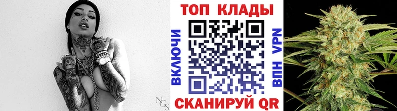 Как найти наркотики Приозерск Кодеин  Cocaine  МЕФ  ГАШИШ  Метадон 
