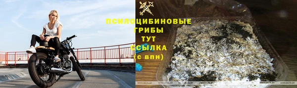 крисы Алексеевка