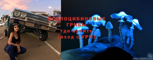 a pvp Алзамай
