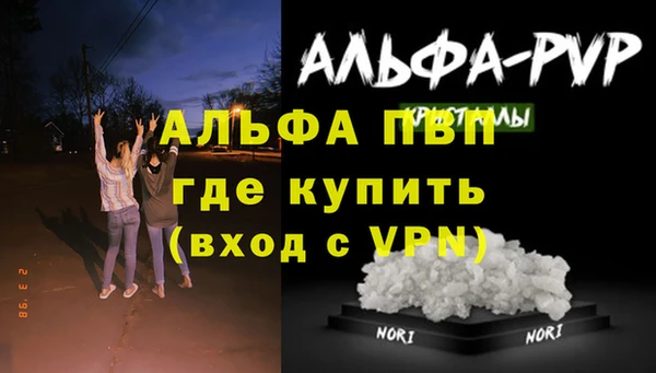 a pvp Алзамай