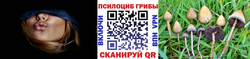 Галлюциногенные грибы прущие грибы  наркотики  Приозерск 